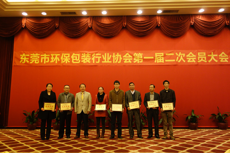 王海鹏会长为荣获2013年度先进单位、先进个人颁发荣誉牌匾